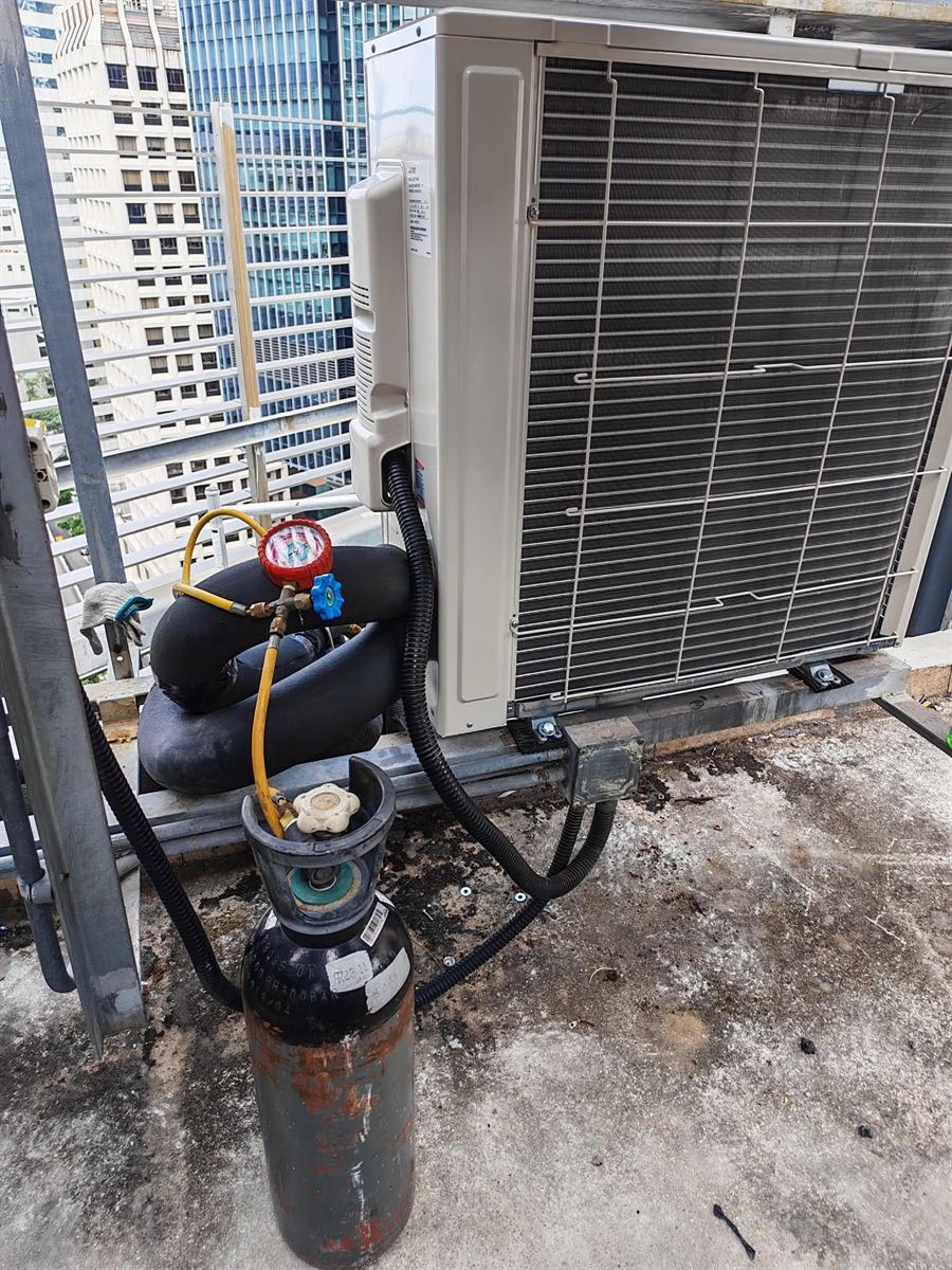 加雪種及測試